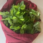 Photo From: Lemon Balm Pesto